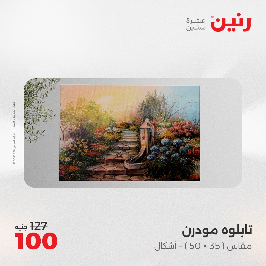 raneen offers from 24apr to 26apr 2025 عروض رنين من 24 إبريل حتى 26 إبريل 2025 صفحة رقم 141